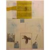 Image 1 : Robert Rauschenberg (b. 1925) American, WHY YOU CAN'T TELL #1, color screenprint with silk coll...