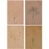 Image 1 : Oriental School (20th Century), FLOWERS, four embossed color lithographs, stamped upper right,...