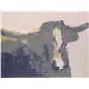 Image 1 : Theodore Waddell (20th Century) American, LONGHORN, State II, 1985, color lithograph, signed in...