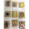 Image 1 : 9 VARIOUS HAT BADGES