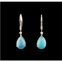 14KT Yellow Gold 10.50ctw Turquoise and Diamond Earrings