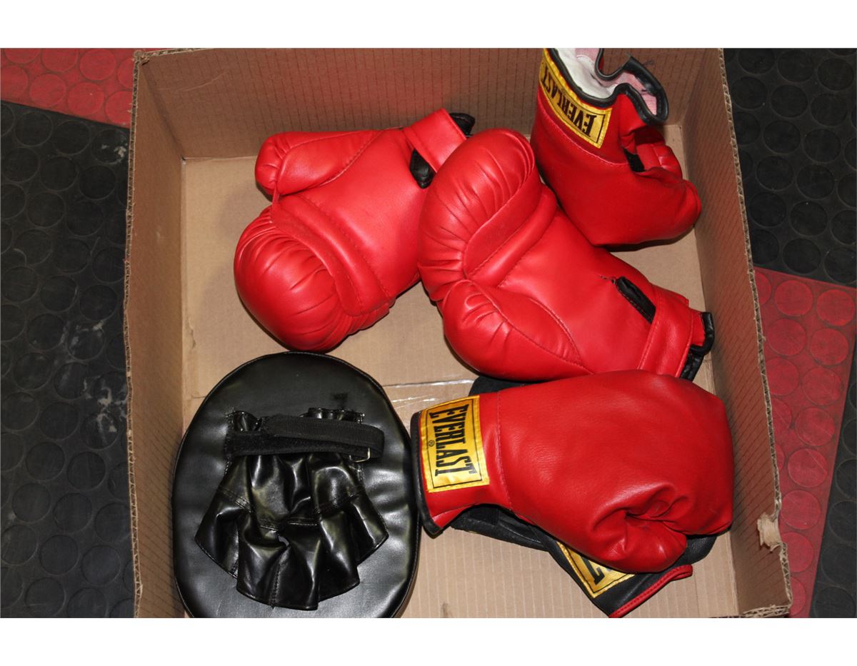 EVERLAST BOXING GLOVES