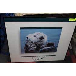 'THE NATURE COMPANY' - SEA OTTER