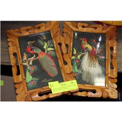 HAND CRAFTED MEXICAN FEATHER ART IN CEDAR FRAMES