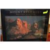 Image 1 : MOUNT RUSH MORE FRAMED PICTUTRE