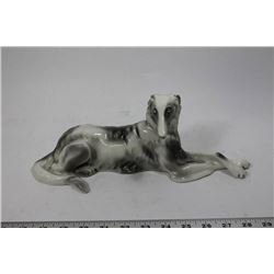 CONTINENTAL  AFGAN DOG