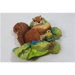 BOSSON HEAD SQUIRREL