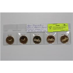 NON CIRCULATION ISSUE PROOF HEAVY CAMEO LOONIES X5