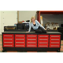 NEW DELUXE 20 DRAWER DREAM TOOLBOX 9" 2' WIDE