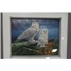 Image 1 : FRAMED TEXTURED OWL SHADOW BOX