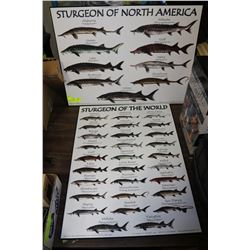 PAIR OF ART WORK ACIPENSER WALL HANGING