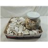 Image 2 : BOX LOT ASSORTED SEA SHELLS