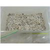 Image 2 : BOX LOT ASSORTED SMALL SEA SHELLS