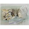 Image 1 : BOX LOT ASSORTED SEA SHELLS