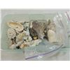 Image 2 : BOX LOT ASSORTED SEA SHELLS