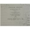 Image 2 : WHALE CHART 1851 MAP