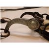 Image 2 : Eddie Hulbert- Silver Overlay- Grazing Bit with Horsehair Headstall