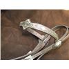 Image 2 : Visalia Silver Overlay Bit and Headstall-Nevada Cheek Curb-Victor Sterling on Headstall