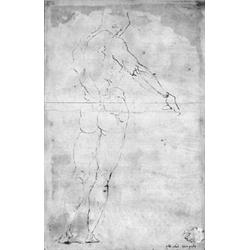 MICHELANGELO - Nachfolge