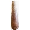 Image 1 : Prehistoric Native  American Stone Pestle