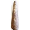 Image 2 : Prehistoric Native  American Stone Pestle