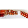 Image 4 : Double Stranded Carnelian Bead Necklace w/Bone Spacers