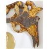 Image 5 : Frame with Authentic Revolver 1850's Cap and Ball Pistol