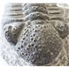 Image 5 : Large Fossil Trilobite