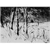 LOVIS CORINTH (Tapiau 1858 - 1925 Zandvoort)
