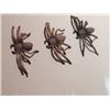 Image 1 : Lot of 3 Screen Used Baby Bob Spiders from "Arachnophobia"