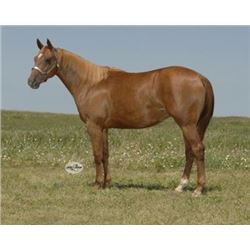 Streakin Lil Lena - 2012 Sorrel AQHA Mare