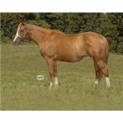 Rojo Roosters Annie - 2008 Sorrel AQHA Mare