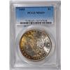 Image 1 : 1885 MORGAN SILVER DOLLAR, PCGS MS-65+  SPECTACULAR COLORS!