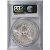 Image 4 : 2005 AMERICAN SILVER EAGLE, PCGS MS-70 RARE LISTS IN PCGS PRICE GUIDE AT $700.00