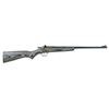 Image 1 : !NEW! KEYSTONE SPORTING ARMS CRICKETT 22 LR 611613002444