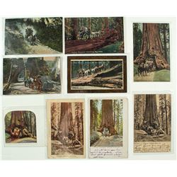 Yosemite and Big Trees Stagecoach Postcards