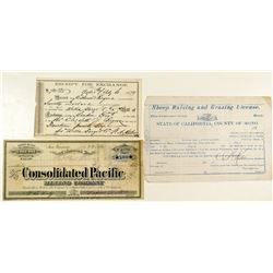 Bodie Documents (Stock, License, Exchange)