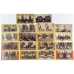 Seventeen Stereographs of the Big Trees