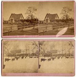 Two Forest Hill Stereoviews