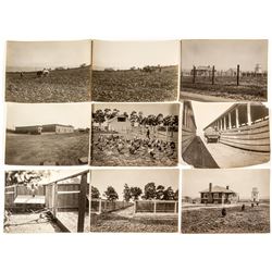 Nine Photos of Bird Farm, Hayward