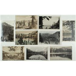 Fallen Leaf Postmarked Postcards