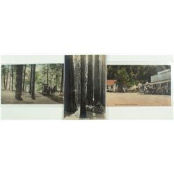 3 Mt. St. Helena Area Postcards