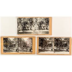 Homemade Stereo Views, Soda Bay