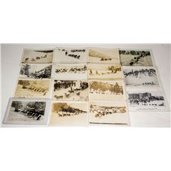 Truckee Dog Sled Postcard Collection