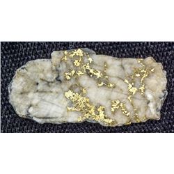 Grass Valley Gold-in-Quartz specimen 2