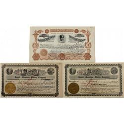 Round Mountain Mining Stocks