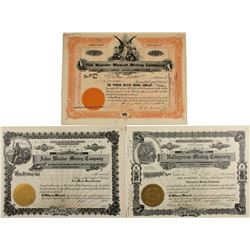 Nice Wonder Mining Stock Certificates
