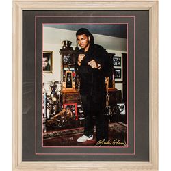 Mohammed Ali in Boxing Pose