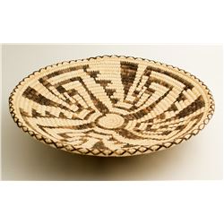 Tohono O'Odham Saguaro Cactus