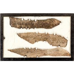 Large Native American spearheads: Lot 1